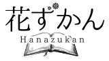 花ずかん｜宮城県仙台市泉区にある花屋さん｜Hanazukan